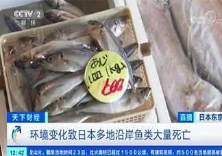 日本秋刀鱼价格暴涨 秋刀鱼营养价值怎样