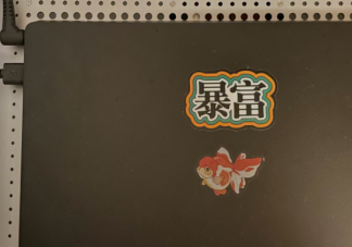 年轻人为什么热衷于暴富哲学 年轻人为了暴富究竟有多拼