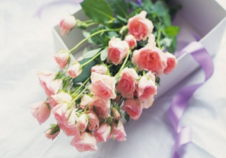 过年的鲜花怎么养护 鲜花保鲜注意事项