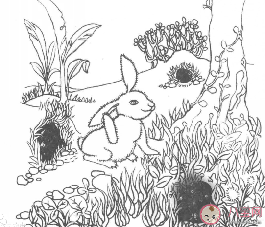 在投资学中狡兔三窟是为了什么 蚂蚁庄园1月26日答案介绍