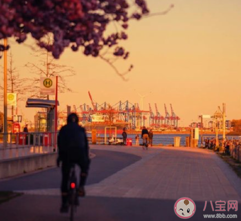 感情里的假复合怎么看 假复合是什么意思 感情里的假复合怎么看 假复合是什么意思