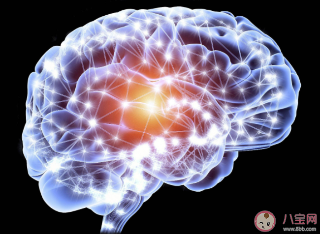 人类大脑也有性别之分吗 男性大脑和女性大脑有什么差异 人类大脑也有性别之分吗 男性大脑和女性大脑有什么差异