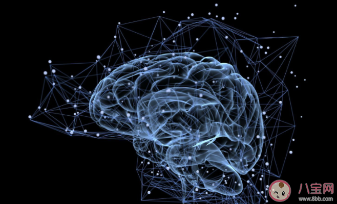 人类大脑也有性别之分吗 男性大脑和女性大脑有什么差异 人类大脑也有性别之分吗 男性大脑和女性大脑有什么差异