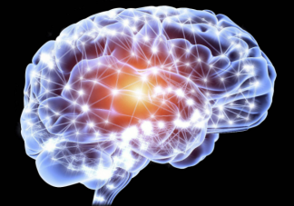 人类大脑也有性别之分吗 男性大脑和女性大脑有什么差异