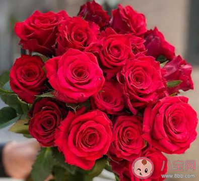 2022情人节适合表白的文案句子大全 2022情人节表白文案甜蜜句子 2022情人节适合表白的文案句子大全 2022情人节表白文案甜蜜句子