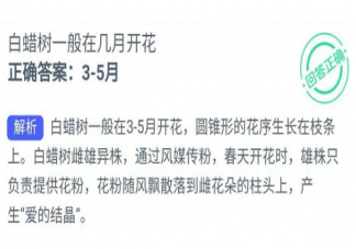 白蜡树一般在几月开花蚂蚁新村 2月2日答案介绍