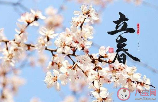蚂蚁新村标志着一年农业之始的节气是 2月4日答案介绍