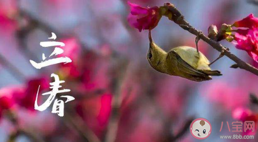 2022立春图片早安心语发朋友圈说说 2022立春节气带字图片文案句子