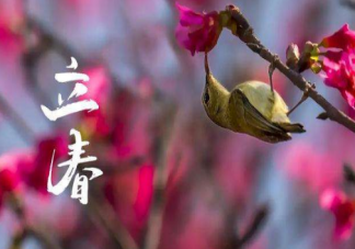 2022立春图片早安心语发朋友圈说说 2022立春节气带字图片文案句子