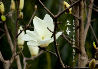 2022立春一句话正能量祝福语说说 2022立春到了的问候语说说句子