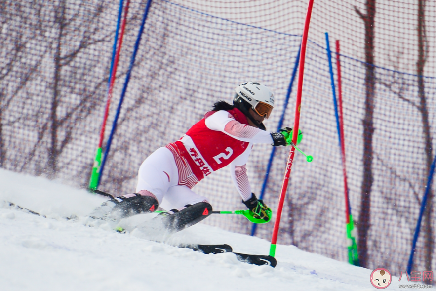 为什么高山滑雪运动员这么多 高山滑雪谁都能参加吗