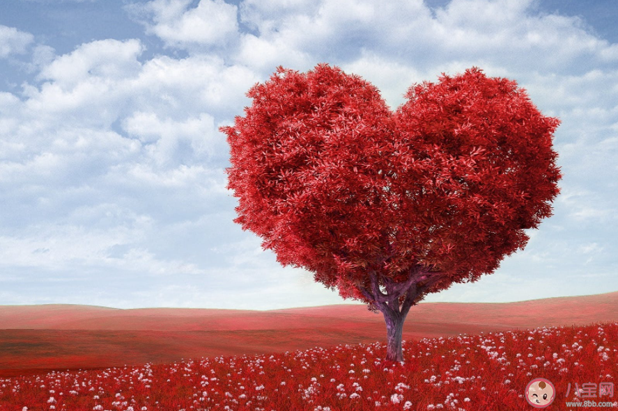 怎么安抚缺乏安全感的伴侣 亲密关系中如何建立安全感 怎么安抚缺乏安全感的伴侣 亲密关系中如何建立安全感