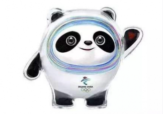 冰墩墩为何如此受追捧 为什么冰敦敦火了