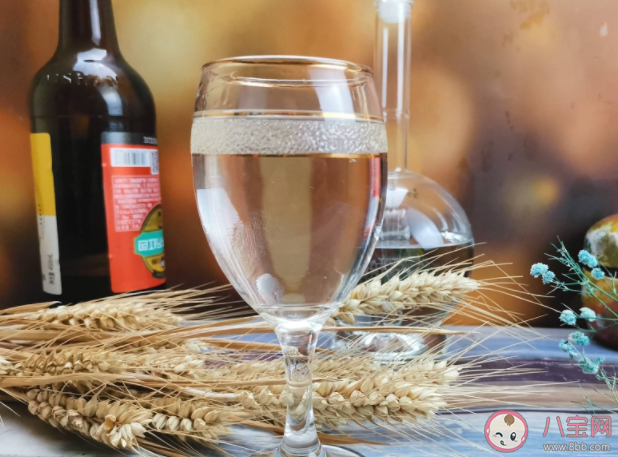 白酒和啤酒混着喝有什么危害 酒混着喝真的更容易醉吗 白酒和啤酒混着喝有什么危害 酒混着喝真的更容易醉吗