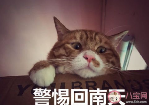 回南天是什么意思 回南天该怎么度过 回南天是什么意思 回南天该怎么度过