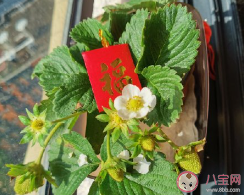 如何避免工作中的情绪内耗 怎么样才减少情绪内耗 如何避免工作中的情绪内耗 怎么样才减少情绪内耗