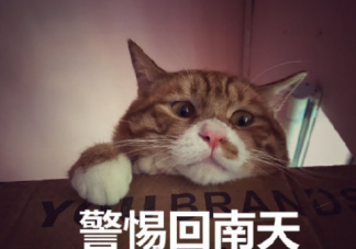 回南天是什么意思 回南天该怎么度过