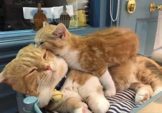 你可以接受另一半很粘人吗 另一半太粘人了怎么办