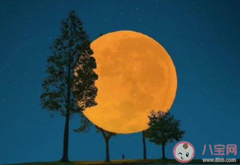 2022十五的月亮十六圆的文案句子 2022十五的月亮十六圆的说说 2022十五的月亮十六圆的文案句子 2022十五的月亮十六圆的说说