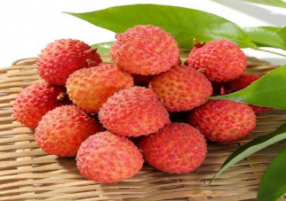 目前中国60%的荔枝都产自广西的说法对吗 蚂蚁新村2月11日答案