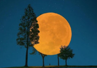 2022十五的月亮十六圆的文案句子 2022十五的月亮十六圆的说说