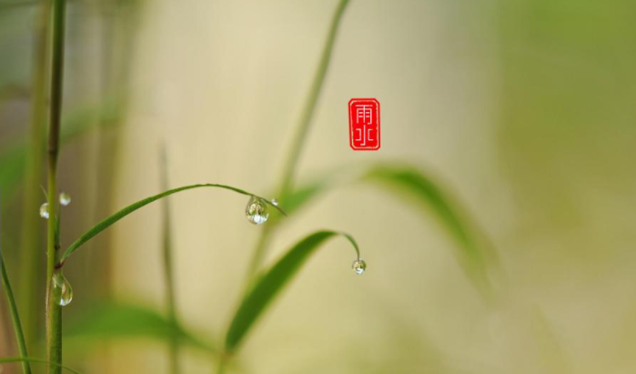 2022今日雨水早安心语问候语说说大全 2022今日雨水节气的祝福语句子 2022今日雨水早安心语问候语说说大全 2022今日雨水节气的祝福语句子