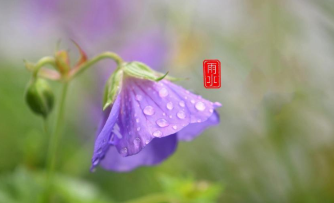 2022今日雨水早安心语问候语说说大全 2022今日雨水节气的祝福语句子 2022今日雨水早安心语问候语说说大全 2022今日雨水节气的祝福语句子