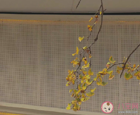 如何理解感情里相互示弱 要在感情中示弱吗 如何理解感情里相互示弱 要在感情中示弱吗