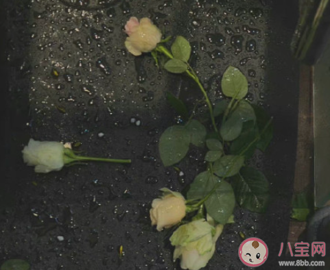 如何理解感情里相互示弱 要在感情中示弱吗 如何理解感情里相互示弱 要在感情中示弱吗