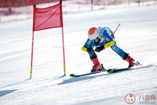 高山滑雪选手碰旗子原因是什么 蚂蚁庄园2月27日正确答案 高山滑雪选手碰旗子原因是什么 蚂蚁庄园2月27日正确答案