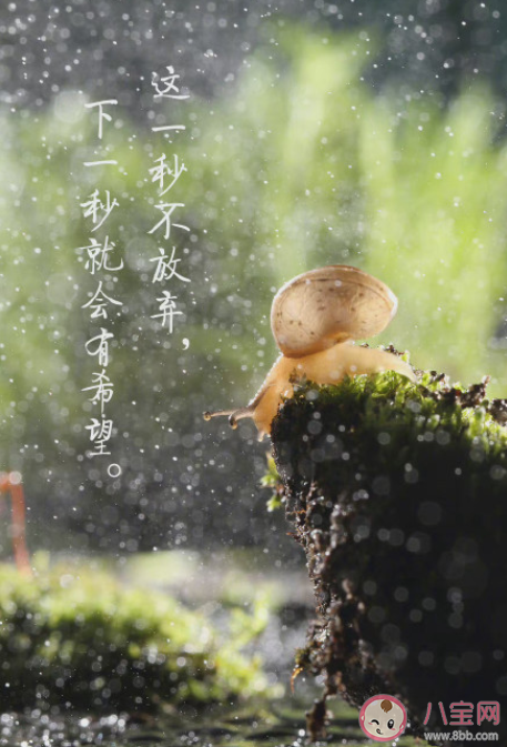 2022别辜负自己正能量励志文案句子 别辜负自己的说说朋友圈