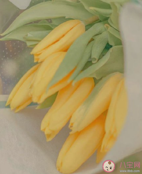 你会担心自己一直单身吗 一直单身该怎么办