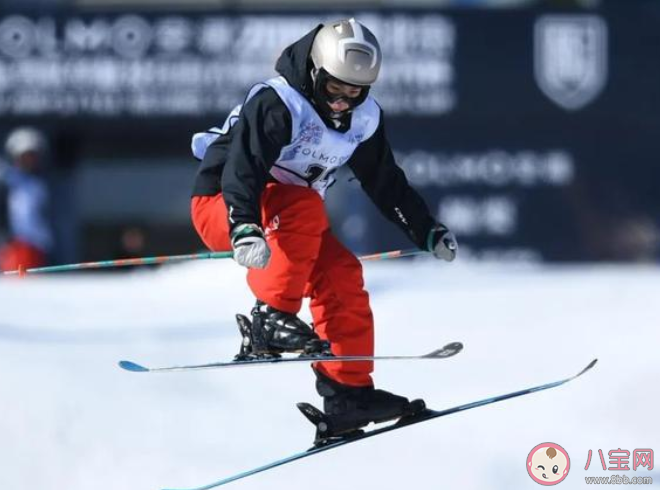 自由式滑雪空中技巧项目的运动员在无雪季节需要做什么训练 蚂蚁庄园2月18日答案