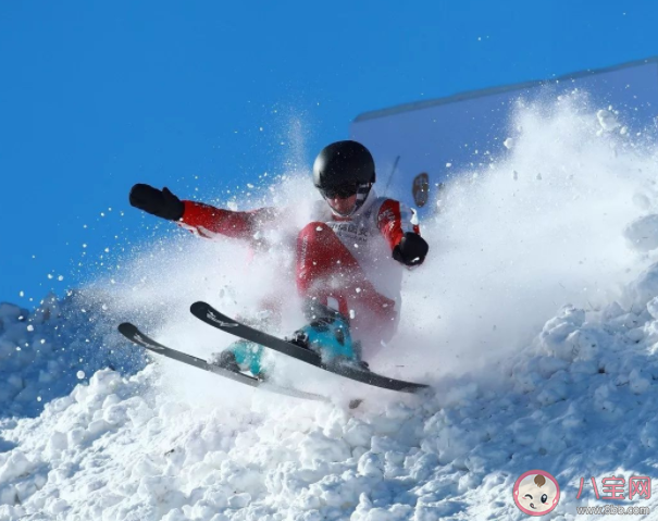 无雪季节自由式滑雪空中技巧项目的运动员需要做什么训练 蚂蚁庄园2月28日答案解析