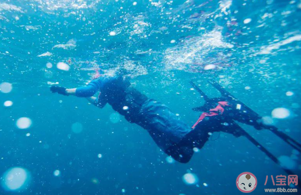 自由滑雪为什么运动员还要训练跳水 自由滑雪是怎样的运动