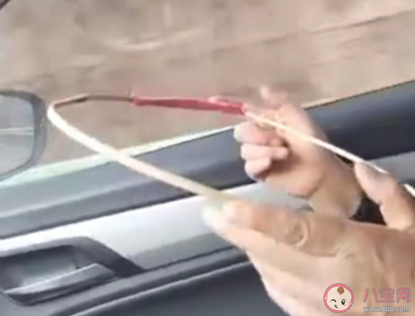 晕车的人开车时为什么不晕车 哪些人更容易晕车 晕车的人开车时为什么不晕车 哪些人更容易晕车