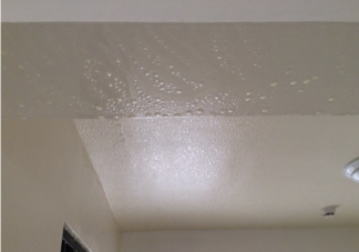 回南天带来的危害有什么 回南天除湿攻略2022