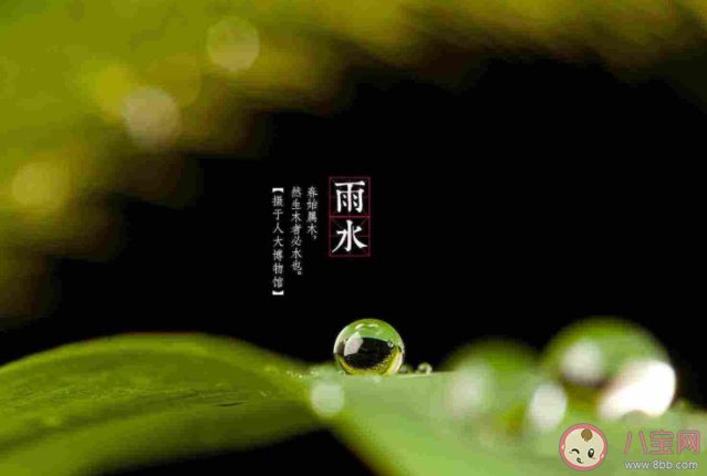 蚂蚁庄园雨水节气一定会下雨吗 2月19日答案解析 蚂蚁庄园雨水节气一定会下雨吗 2月19日答案解析