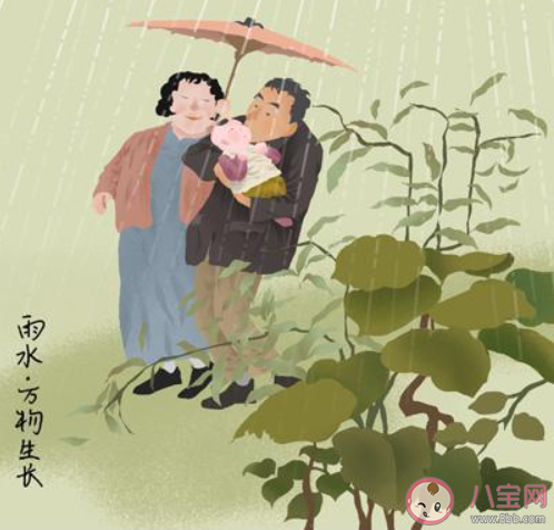 雨水节气一定会下雨吗 蚂蚁庄园2月19日答案最新