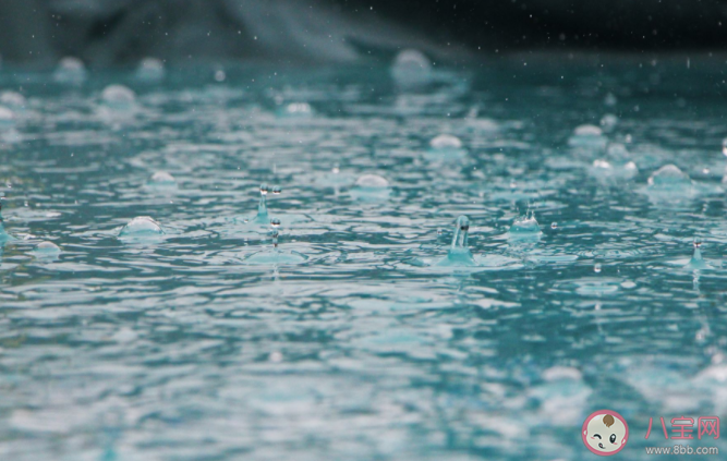雨水节气下雨好不好 雨水节气是不是就暖和了