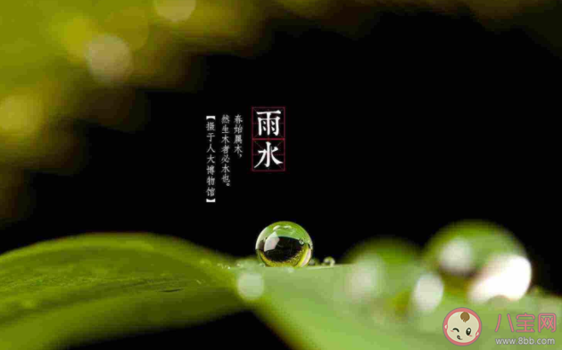 雨水节气有哪些习俗 雨水节气禁忌有什么