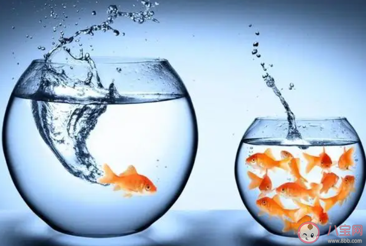 你敢走出舒适圈吗 该怎样让自己走出舒适圈 你敢走出舒适圈吗 该怎样让自己走出舒适圈