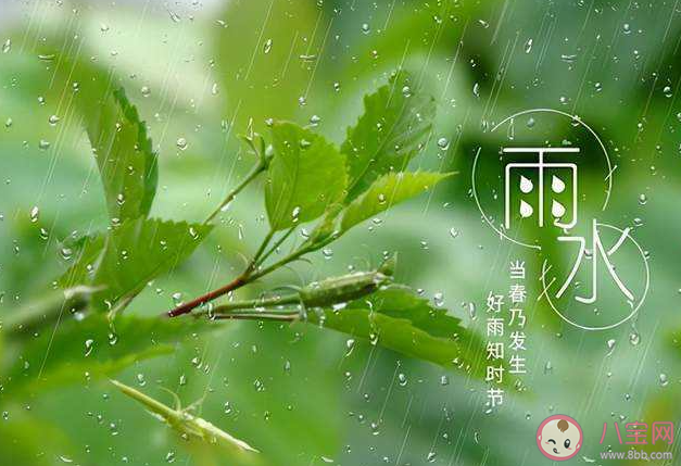 又是一年雨水节气的暖心说说2022 雨水节气温暖治愈文案句子2022
