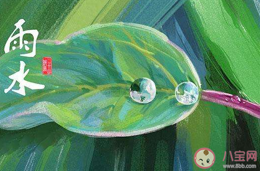 又是一年雨水节气的暖心说说2022 雨水节气温暖治愈文案句子2022