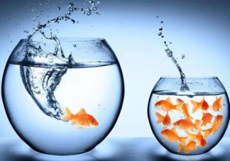 你敢走出舒适圈吗 该怎样让自己走出舒适圈