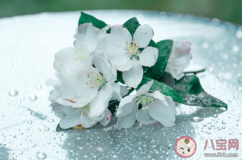 为什么要知道二十四节气 了解二十四节气有什么意义