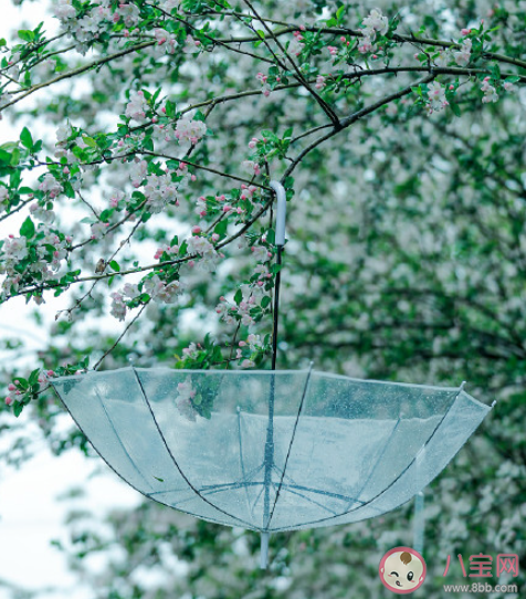 为什么要知道二十四节气 了解二十四节气有什么意义