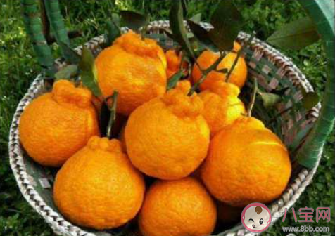 水果越丑越好吃吗 吃水果看颜值吗 水果越丑越好吃吗 吃水果看颜值吗