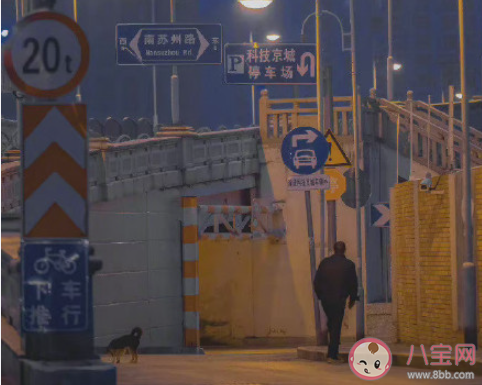 女生该如何真正放下一个人 怎样才能放下心中的那个人