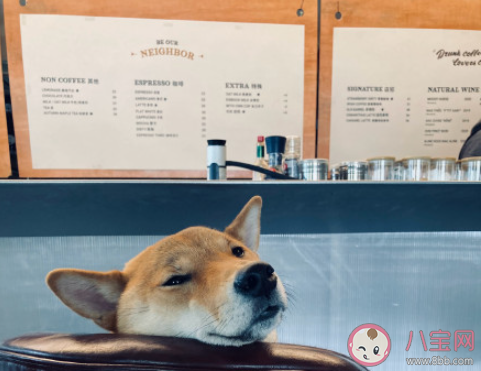 一线城市多少收入才能过得舒坦 怎样看待一线城市的工资和开销 一线城市多少收入才能过得舒坦 怎样看待一线城市的工资和开销